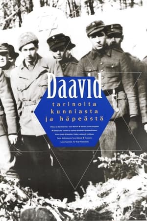 Poster Daavid - tarinoita kunniasta ja häpeästä 1997