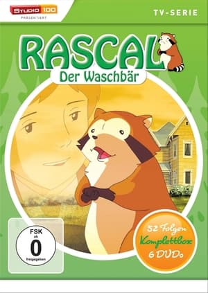 Image Rascal, der Waschbär