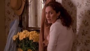 Judging Amy Shock and Awe