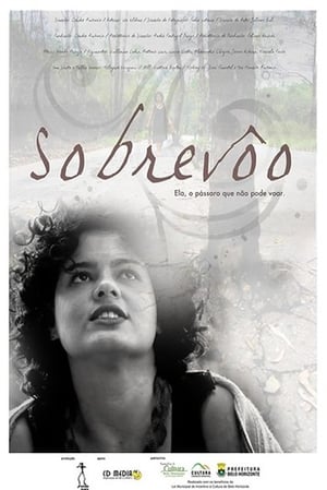 Sobrevôo (2009)