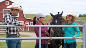 Heartland 10 – Episodio 6