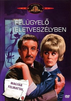 Poster Felügyelő életveszélyben 1964