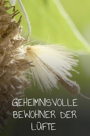 Image Geheimnisvolle Bewohner der Lüfte
