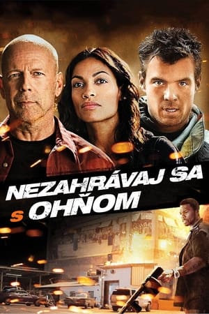 Poster Nezahrávaj sa s ohňom 2012