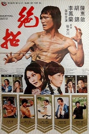 Poster Martial Arts (1974)