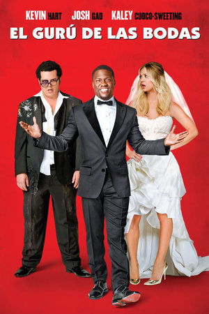 Watch El gurú de las bodas (2015) HD Movie Online Free