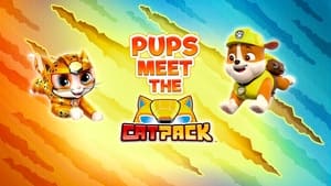 PAW Patrol Pups Meet the Cat Pack