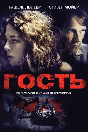 Poster Гость 2011