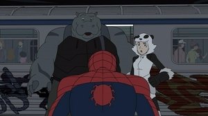 Marvel Spider-Man Temporada 2 Capitulo 8