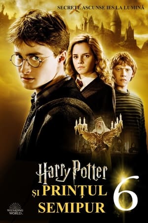 Poster Harry Potter și Prințul Semipur 2009