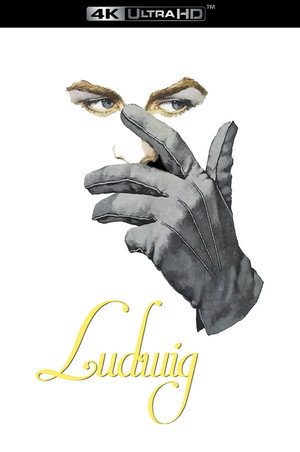 Ludwig 37