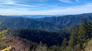 Great Smokey Mountains still