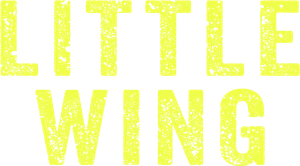 Little Wing