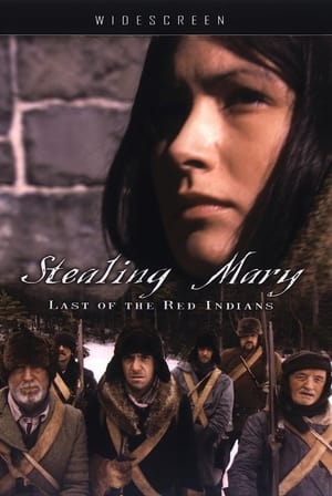 Poster Stealing Mary: Last of the Red Indians 2006