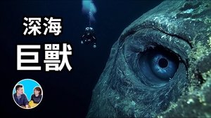 Episode 293