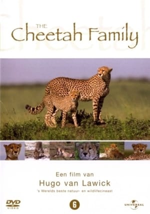 Poster Cheetah Story 1999