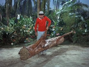 Gilligan’s Island: 3×3