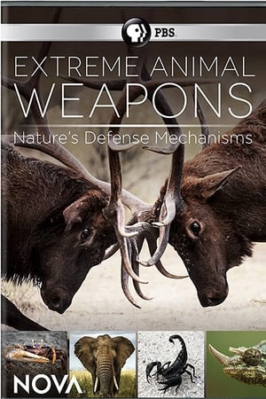Extreme Animal Weapons (1970)