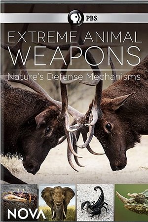 Poster Extreme Animal Weapons 2025