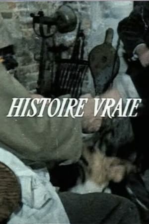 Poster Histoire vraie (1973)