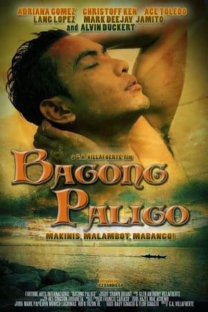 Poster Bagong Paligo (2013)