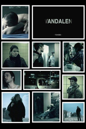 Vandals 7