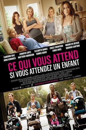 Poster Ce qui vous attend si vous attendez un enfant 2012