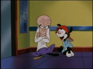 Animaniacs Ups And Downs