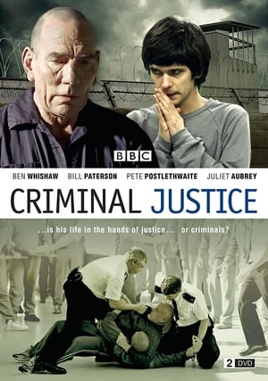 Criminal Justice poster