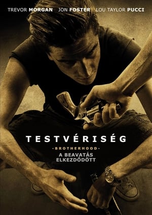 Poster Testvériség 2010