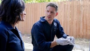 CSI: Vegas (2X07) Sub Español Online