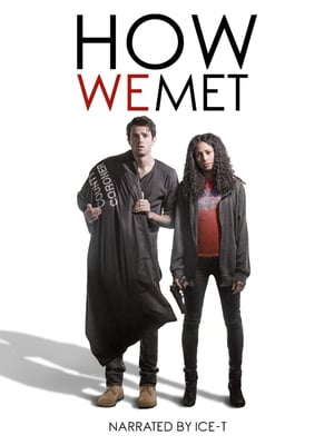 Poster How We Met 2016