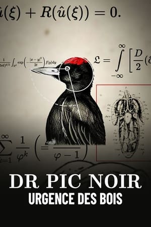 Poster Dr Pic Noir, urgence des bois 2023