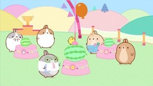 Molang: 4×4