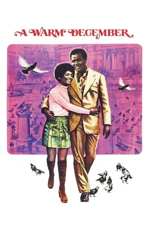 Poster A Warm December (1973)