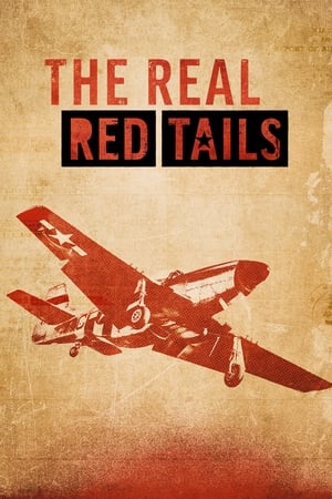 Image The Real Red Tails