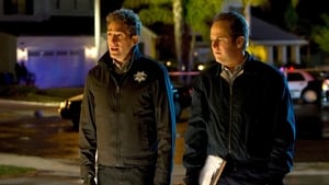 CSI: Las Vegas Temporada 14 Capitulo 14