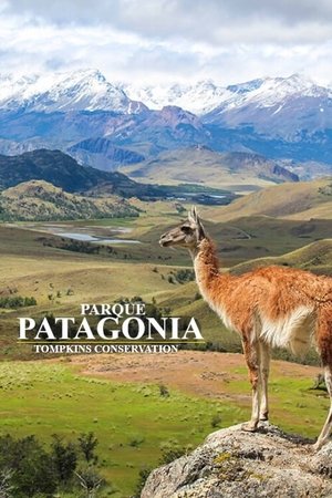 Poster Parque Patagonia 2017