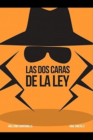 Poster Las dos caras de la ley 2015