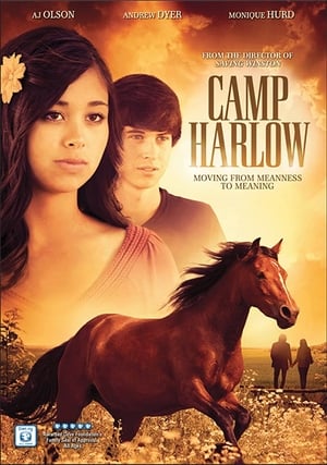 Poster Camp Harlow (2014)