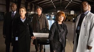 Fringe (Al límite) Temporada 3 Capitulo 11