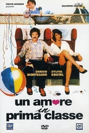 Love in First Class poster