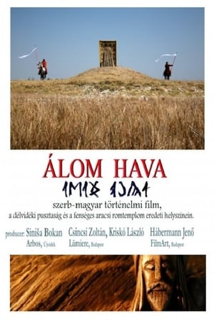 Poster Álom hava 2017