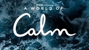 poster A World of Calm