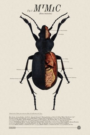 <Images posters