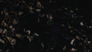 Guts of a Virgin - Entrails of a Virgin