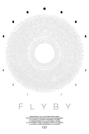 Poster Flyby 2019