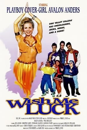 Poster Wish Me Luck 1995