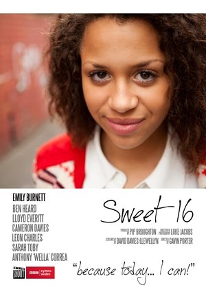 Poster Sweet Sixteen 2011