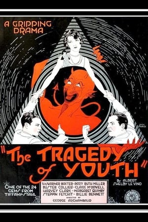 Poster The Tragedy of Youth (1928)